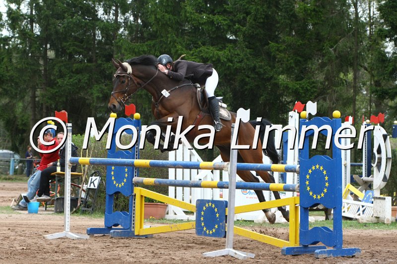 204M9754_Haeuslers Lufticus_Spring_L.JPG